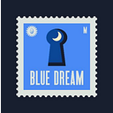 BLUE DREAM SRL