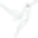 SOFTSENSE SRL