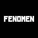 FENOMEN SRL