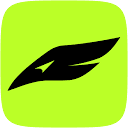 FLY MEDIA SRL