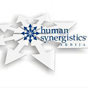 HUMAN SYNERGISTICS - DEZVOLTARE ORGANIZATIONALA SRL