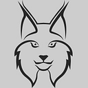 LYNX CONSULTING SERVICES SRL