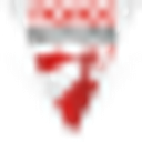 ARBLAST SRL
