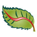 DENTANA S.R.L.