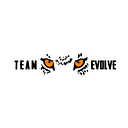 TEAMEVOLVE SRL