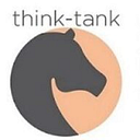 STRATEGIC THINKING GROUP SRL