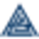SURVEYOR SRL
