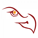 EAGLE EYE MANAGEMENT S.R.L.