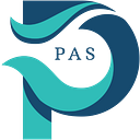PROFESSIONAL ACCOUNTING SOLUTIONS SRL
