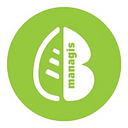 MANAGIS SERV SRL