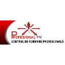 PROFESIONAL P.N. S.R.L.