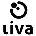 LIVA COMPANY S.R.L.