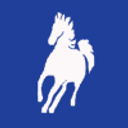 GINAVIDOR TRANS SRL