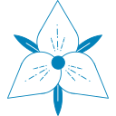 ECO TRUST S.R.L.