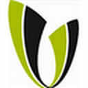 VITAS INSTITUTIE FINANCIARA NEBANCARA S.A.