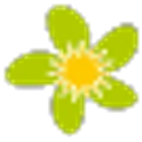 BUCOVINA TRAVEL & EVENTS SRL