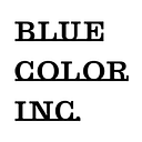 B.L.U.E. COLOR SRL