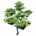 BIOGARDEN SRL