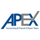 APEX AUDIT SRL