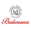 VIILE BUDUREASCA SRL