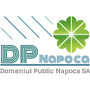 DOMENIUL PUBLIC NAPOCA S.A.