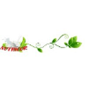 NUTRICOR SERV SRL
