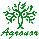 AGRONOR COMPANY S.R.L.