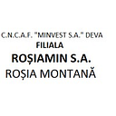 COMPANIA NATIONALA A CUPRULUI AURULUI SI FIERULUI MINVEST SA