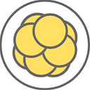 PRONATAL SRL