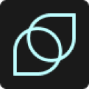 SPRING INVEST SRL