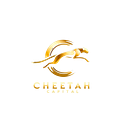 CHEETAH CAPITAL SRL