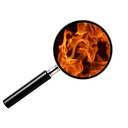 FIRE CONSULTING SRL