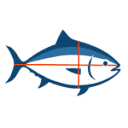 AQUA D & P TECHNOLOGIES SRL
