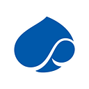 CAPGEMINI SERVICES ROMANIA SRL