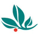 GENESIS GROUP SRL