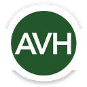 AVH CONSULTING SRL