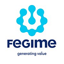 FEGIME RO SRL