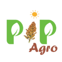 PIP AGRO SRL
