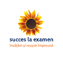HUMAN STRATEGICS SRL