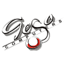 GESO COMPUTERS SRL