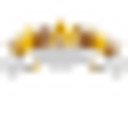 GOLD COSMETICS SRL