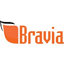 BRAVIA LOGISTICS SRL