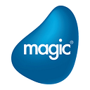 MAGIC PROFESIONAL SERVICE SRL