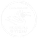 OVIDAV TOUR  SRL