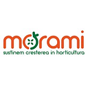 MORAMI SRL