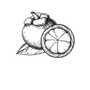 MANGOSTEEN SRL