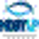 AUTO PARTS IMPORT S.R.L.