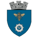 Stema ORAŞ BERBEŞTI