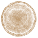 ALEXIE G.V. SRL