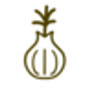 DIGITAL ONION S.R.L.